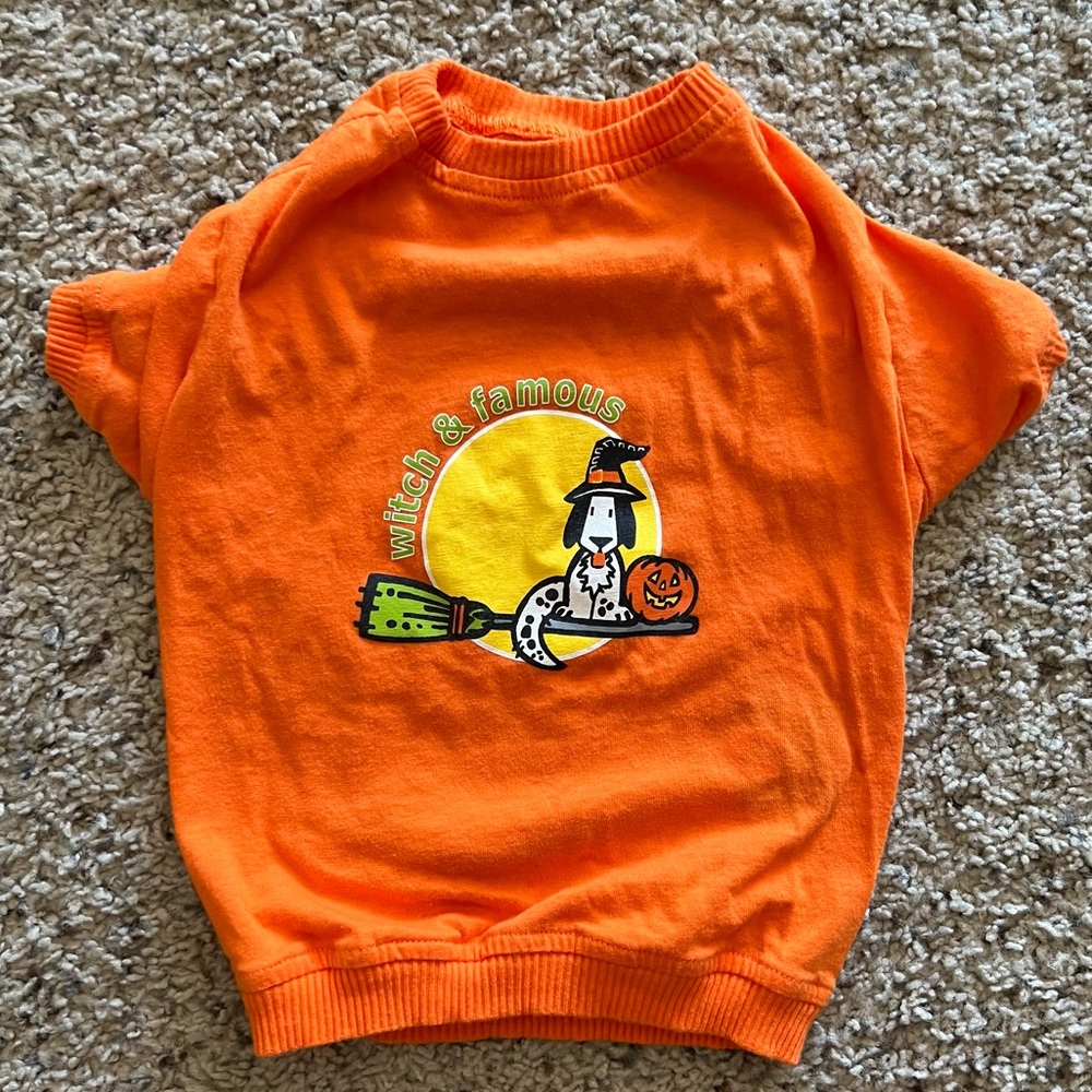 Small dog Halloween costume “Witch and Famous”